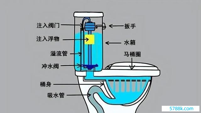 草纸丢马桶里径直冲走，不是误导，是正确用法：卫生浅显新风俗