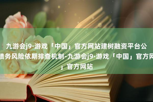 九游会j9·游戏「中国」官方网站建树融资平台公司债务风险依期排查机制-九游会j9·游戏「中国」官方网站