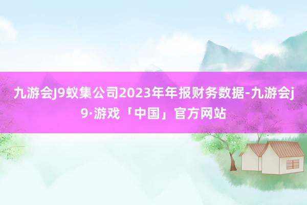 九游会J9蚁集公司2023年年报财务数据-九游会j9·游戏「中国」官方网站