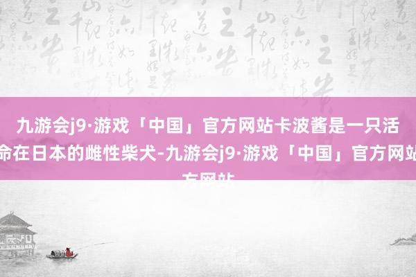 九游会j9·游戏「中国」官方网站卡波酱是一只活命在日本的雌性柴犬-九游会j9·游戏「中国」官方网站