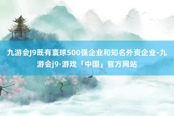 九游会J9既有寰球500强企业和知名外资企业-九游会j9·游戏「中国」官方网站