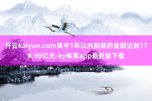 开云kaiyun.com其中1年以内到期的金额达到178.90亿元-ky体育app最新版下载