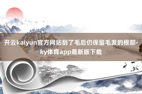 开云kaiyun官方网站刮了毛后仍保留毛发的根部-ky体育app最新版下载